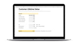 Customer Lifetime Value I Excel Vorlage I Excelpedia.